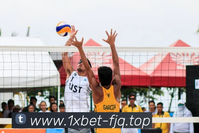 1xbet官网平台生态图